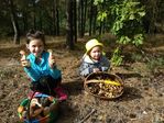 Gospodarstwo agroturystyczne