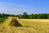 Gospodarstwo Agroturystyczne "Domek na Wzg贸rzu" Gospodarstwo Agroturystyczne "Domek na Wzg贸rzu"