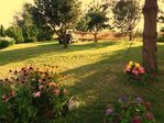 Mazury - Domki do wynajęcia blisko Mrągowa i Mikołajek.