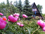 Domek Letniskowy Orzyny 51 Mazury
