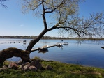 Domek z pomostem Mazury