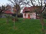 Maciejówka