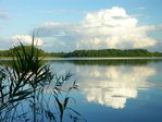 Stelchno