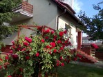 Dom do wynajęcia blisko jeziora i lasu