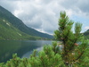 Morskie Oko, Zakopane noclegi, Zakopane kwatery