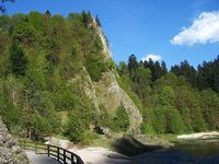 Pieniny - przełom Dunajca