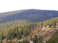 Radziejowa, Beskid Sądecki, noclegi Beskidy, kwatery Beskidy